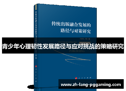 青少年心理韧性发展路径与应对挑战的策略研究