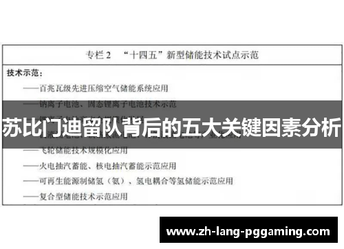 苏比门迪留队背后的五大关键因素分析